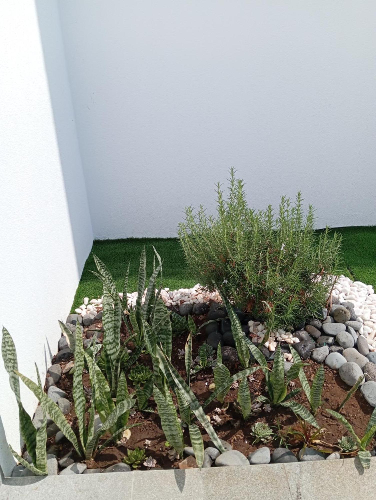 פונטה דו סול Holiday House Caetano מראה חיצוני תמונה